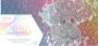 Scarlet & Violet - Prismatic evolution - Super Premium Collection (inclu une boite de protection en acrylique)
